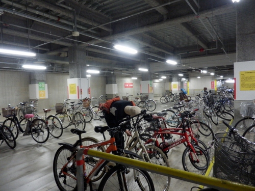 PB100198 (500x375)