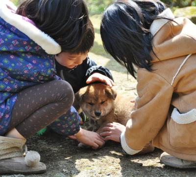 梅小町日記