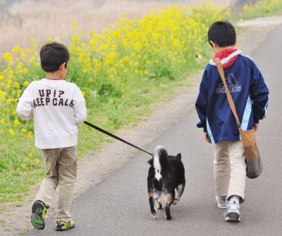 梅小町日記