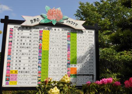 梅小町日記