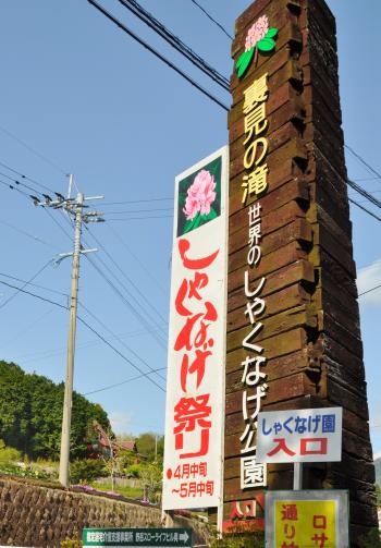 梅小町日記