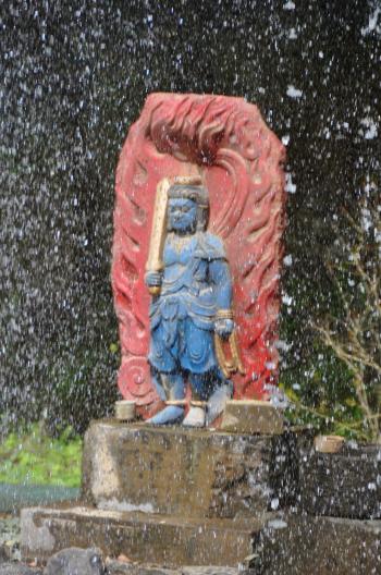 梅小町日記