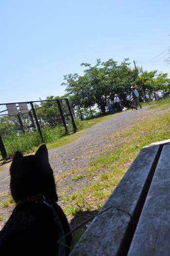 !!あそこに見えるは!?