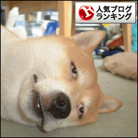 banner_20120505181158.gif