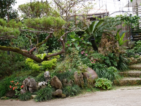 10-P1000235.jpg
