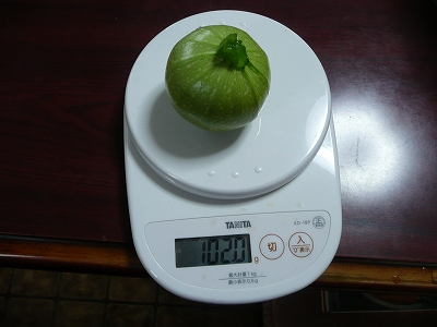 ずっしり重いグリーン・エッグ