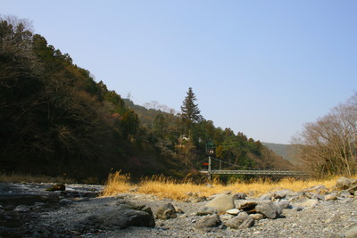 IMG_3768.jpg