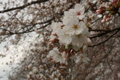 IMG_3995.jpg