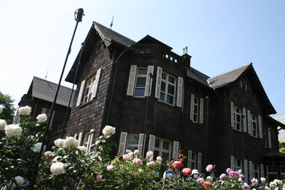 IMG_4540.jpg