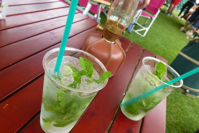 P1020015.jpg
