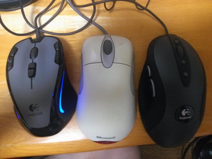 IMG00247_.jpg