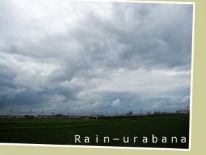 台風... 台風...