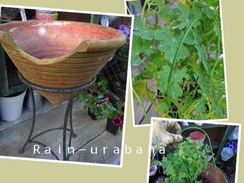 外して植えるべぇ♪ 外して植えるべぇ♪