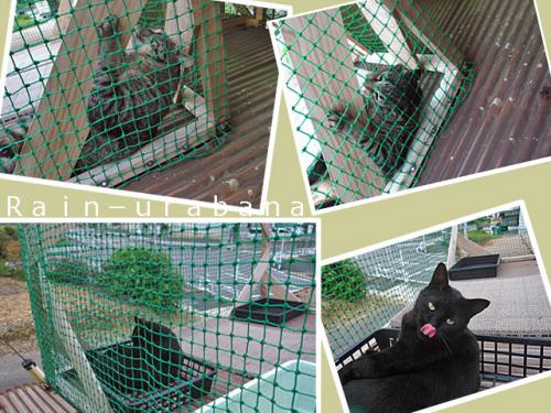 直ぐ後ろに応援部隊 プッ 直ぐ後ろに応援部隊 プッ