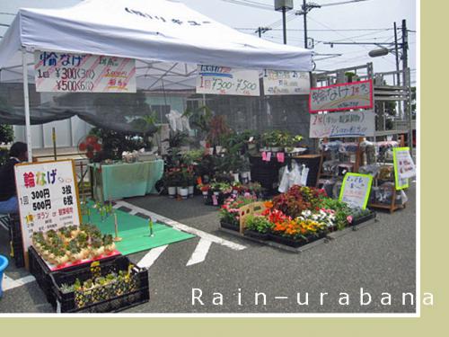 縁日2日目! 縁日2日目!