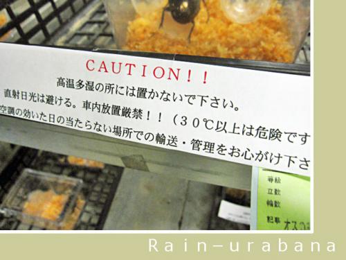 市場の中が1番危険よぉ ( ̄。 ̄lll 市場の中が1番危険よぉ ( ̄。 ̄lll