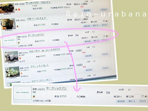 画像は無いけど上場されてました (⌒ ⌒)ウフッ♪ 画像は無いけど上場されてました (⌒ ⌒)ウフッ♪