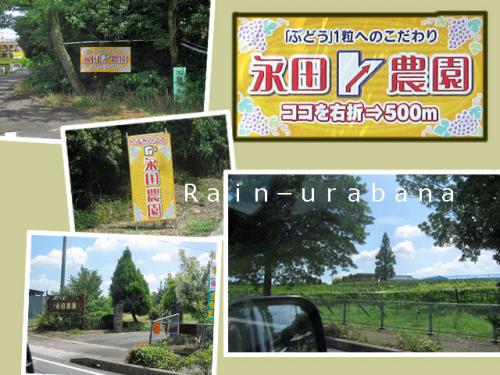 助っ人くんとこのブドウ農園訪問だす! 助っ人くんとこのブドウ農園訪問だす!