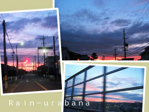 今朝、夜明け前♪ 今朝、夜明け前♪
