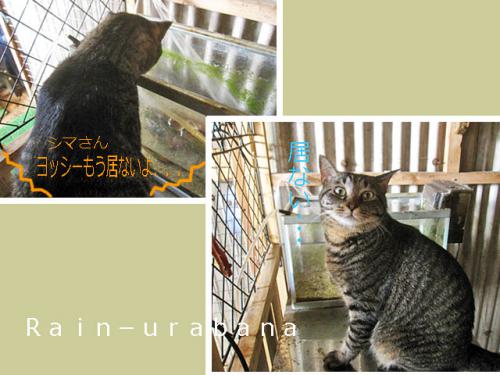 だから、居ないと言ってるじゃないか f(^ ^; だから、居ないと言ってるじゃないか f(^ ^;