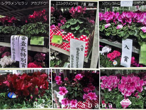 各賞その①