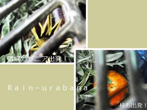 ようやく出発...オマケ付き♪ ようやく出発...オマケ付き♪