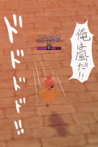 ひーひーひよこ!