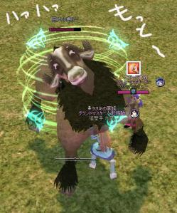 変顔の牛