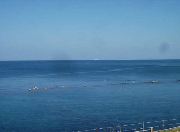 DSCF1560.jpg