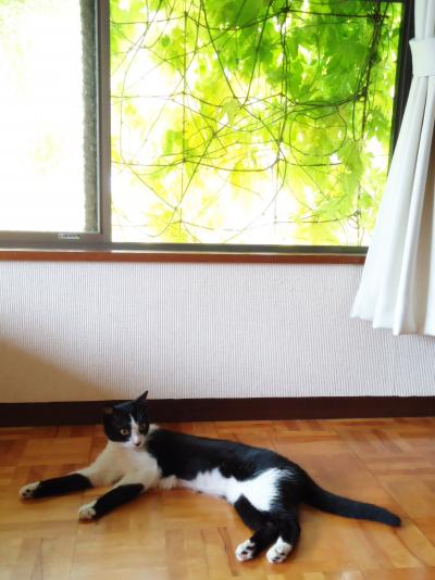 繧ク繝ュ縺ィ繧エ繝シ繝、_convert_20120919000204