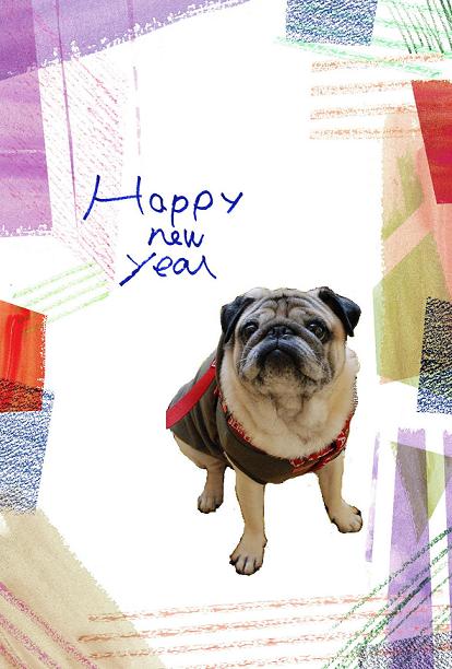 A Happy New Year! 2013!!