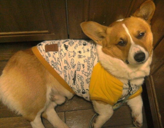 130106_143325.jpg