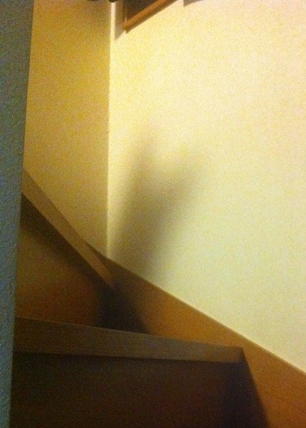 IMG_3624_20120719222039.jpg