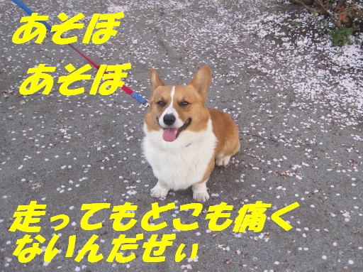 IMG_5533_20120508235038.jpg
