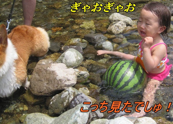 IMG_6328_20120812224317.jpg