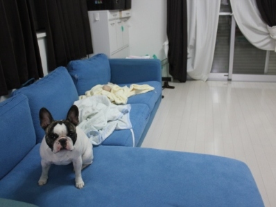 3_20121114110846.jpg