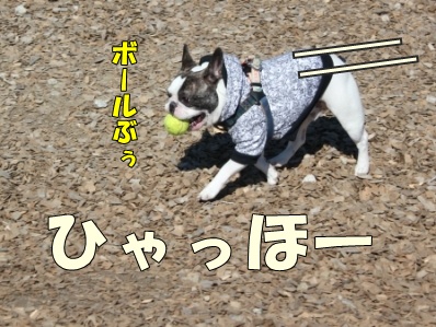 4-1_20121108110102.jpg