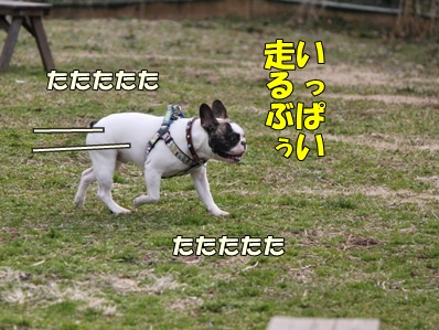 6_20120424095827.jpg