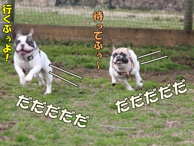 7_20120424095857.jpg