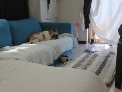 7_20120921150311.jpg