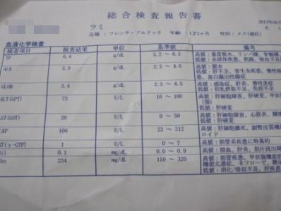 8_20120614163134.jpg