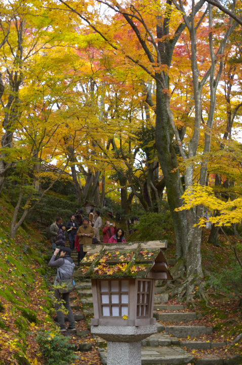 常寂光寺_121124_GXR_CANON35mmf2_2