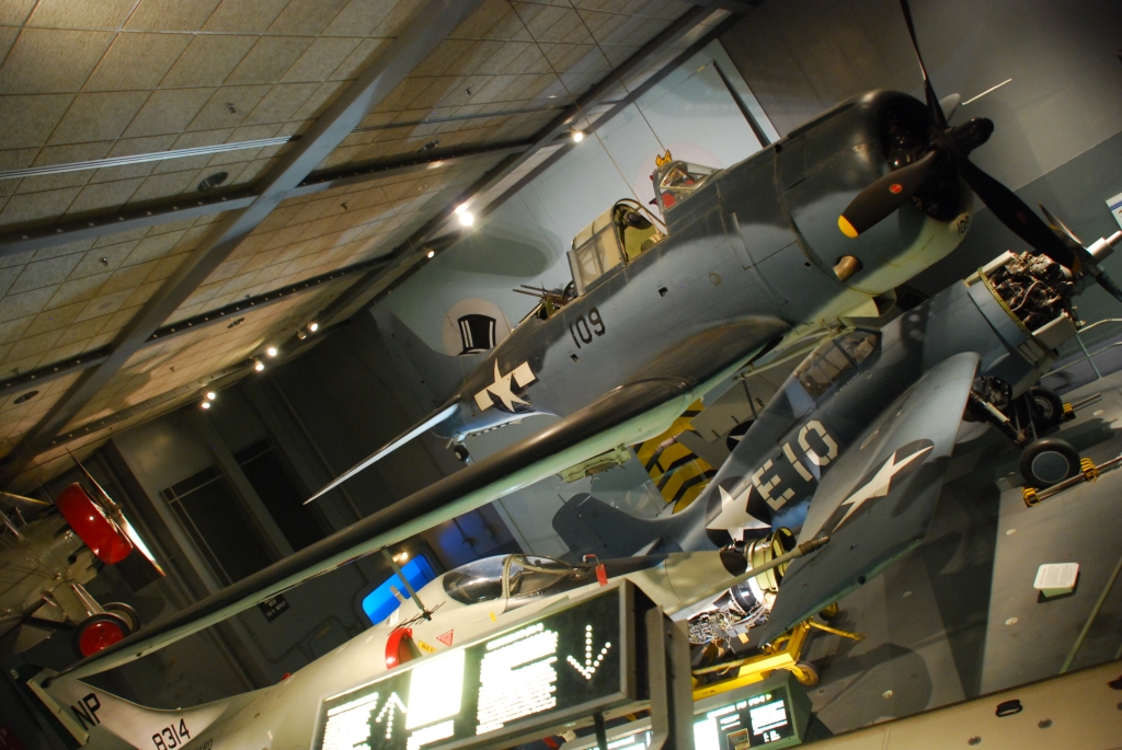 DSC_0513.jpg