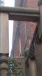2012 oct (4)