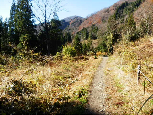 山道