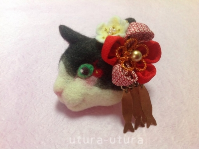 猫展-小梅