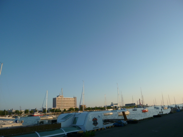 P1050690.jpg
