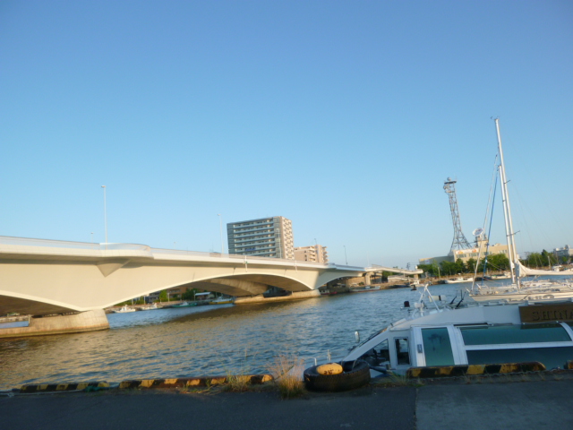 P1050691.jpg
