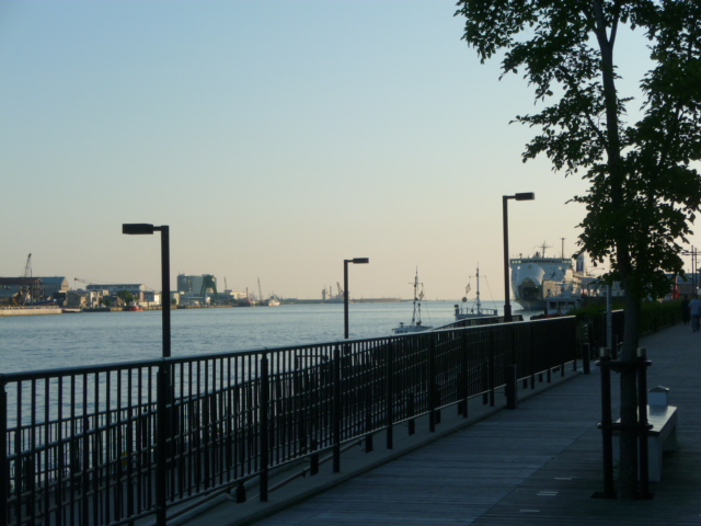 P1050693.jpg