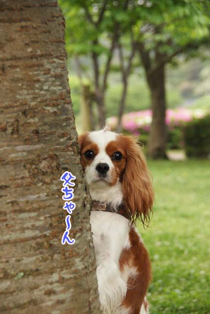 20120502_042.jpg